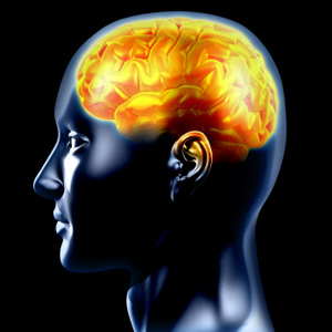 Know more facts about Human Brain